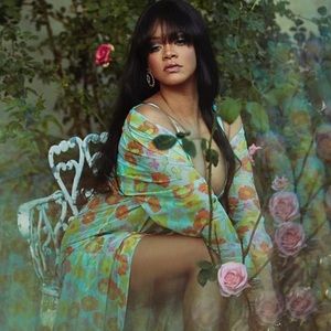 Rihanna  Savage x Fenti | Sheer green Floral Lingerie | Swim CoverUp
